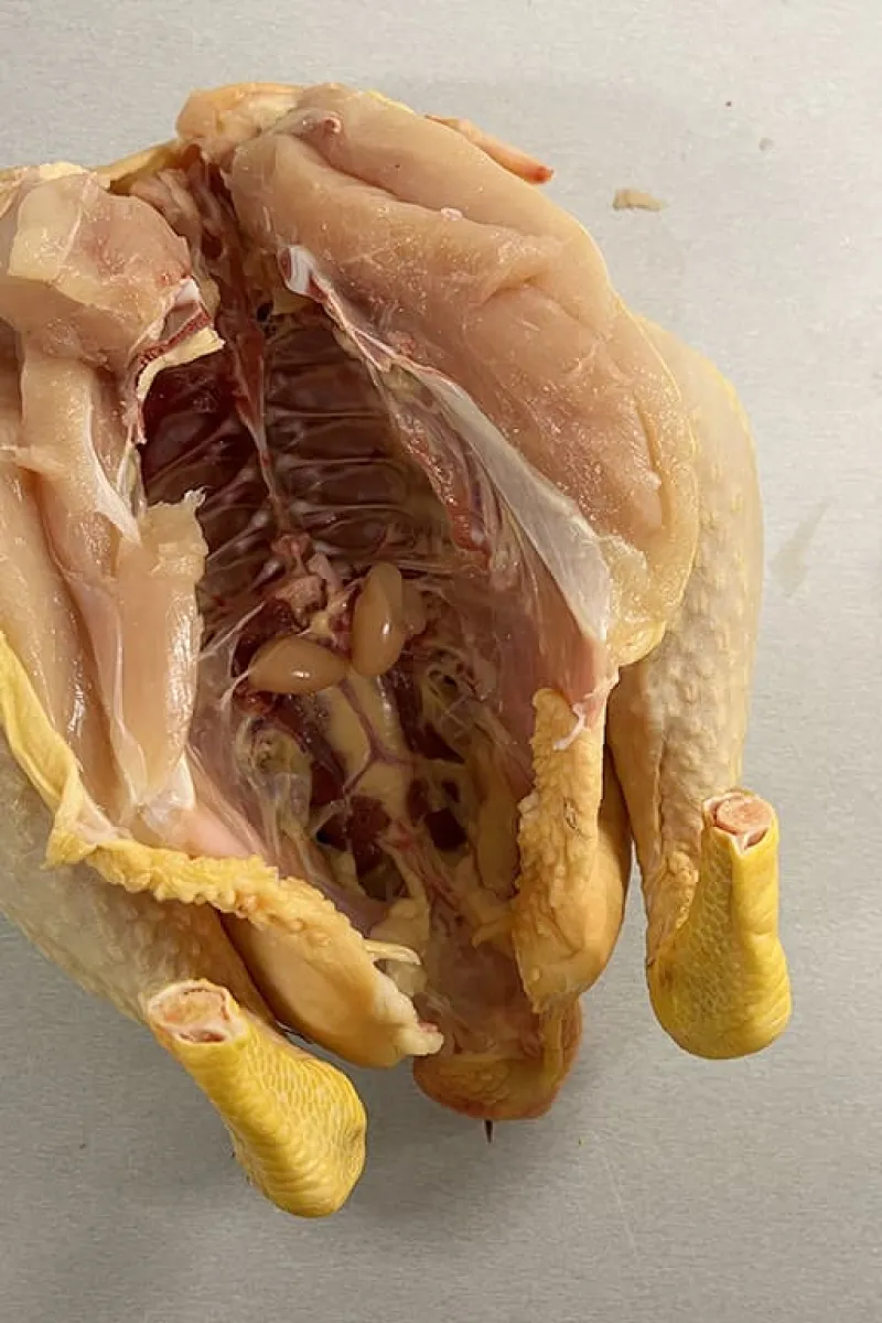 Zelf gevlinderde kip maken - stap 4