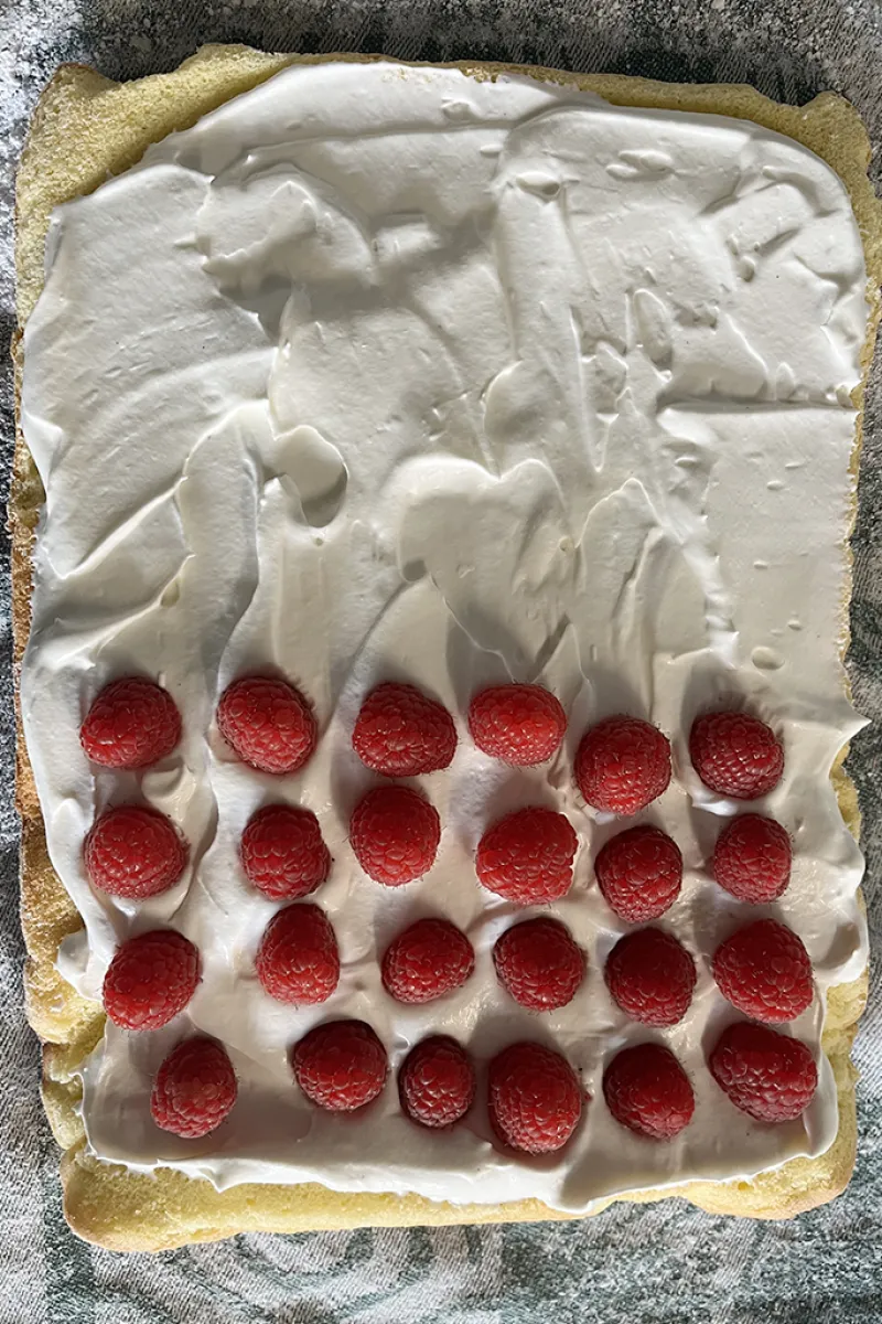 Frambozen bûche de Noël - stap 4