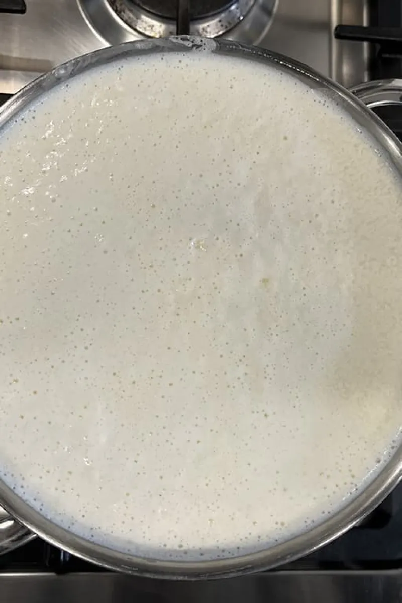 Zelf paneer maken - stap 2