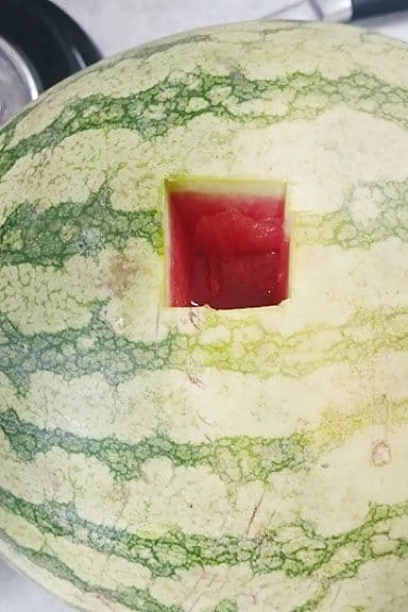 Watermeloen met gat erin