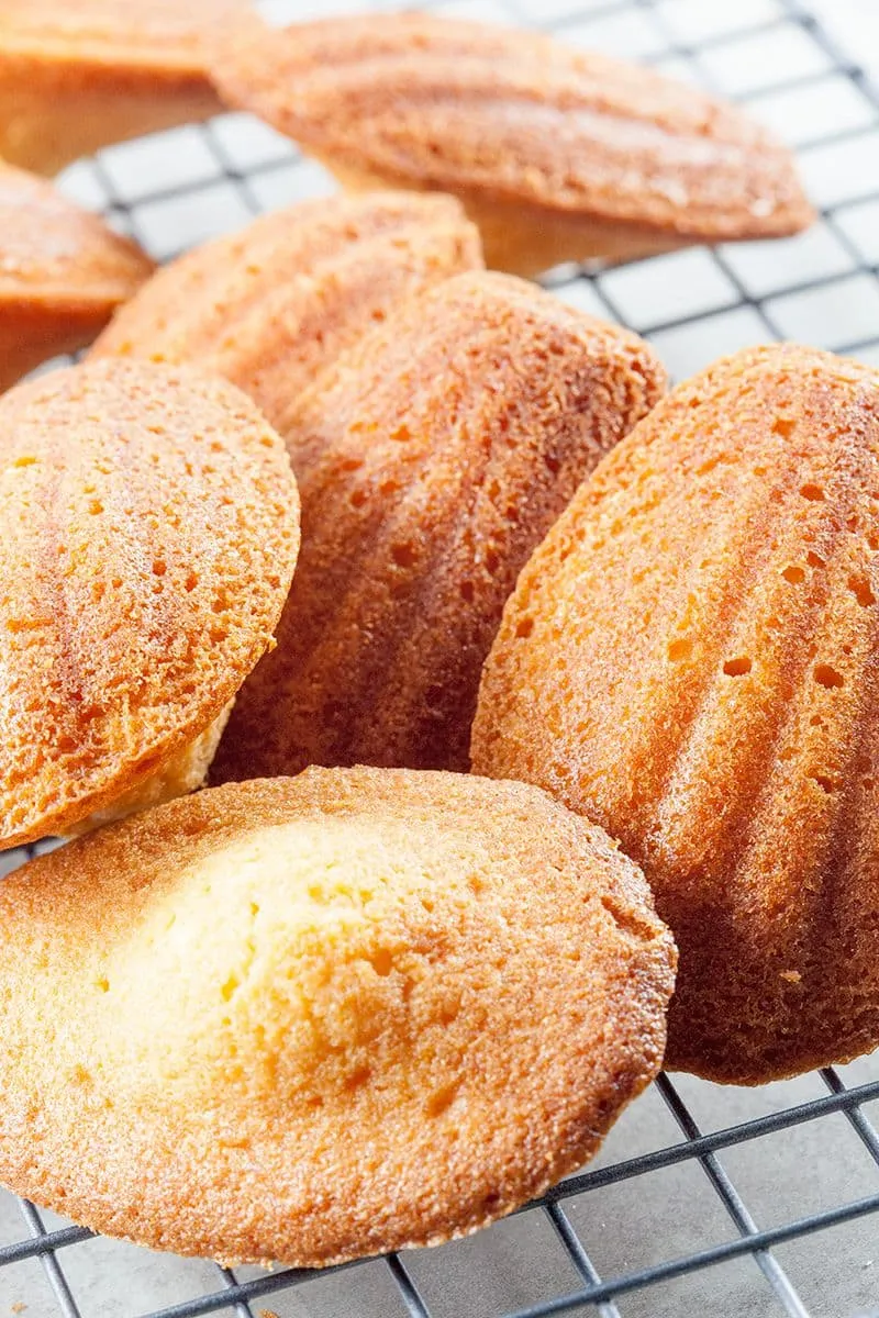 Klassieke Franse madeleines