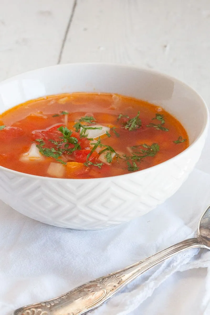 Traditionele Roemeense kippen noedelsoep