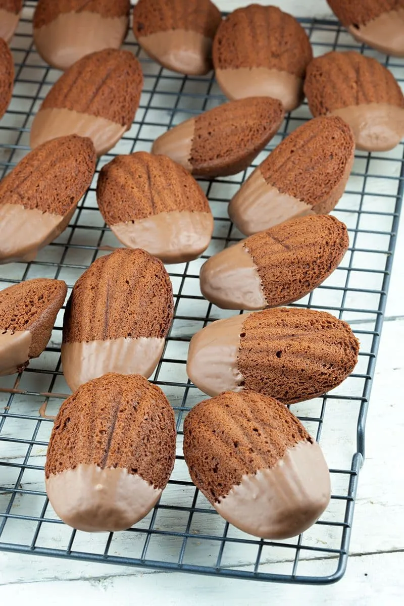 Chocolade madeleines