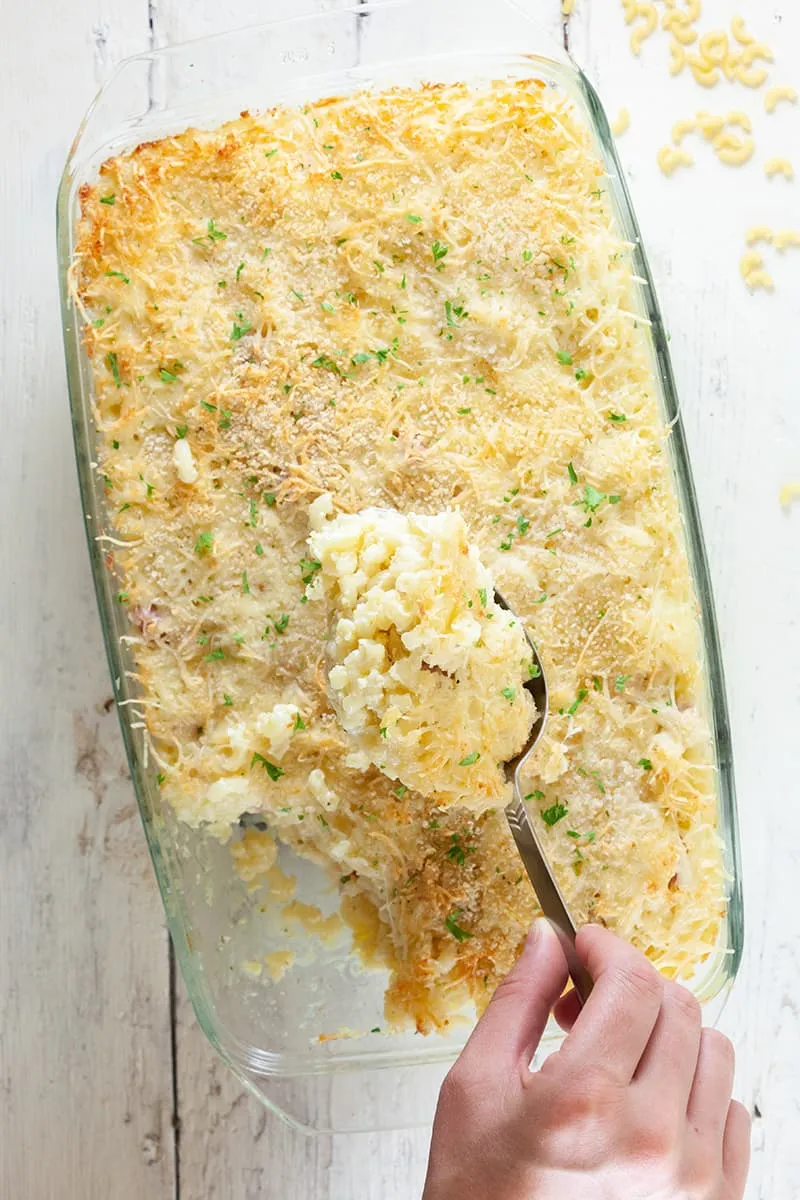 Macaroni boursin gratin
