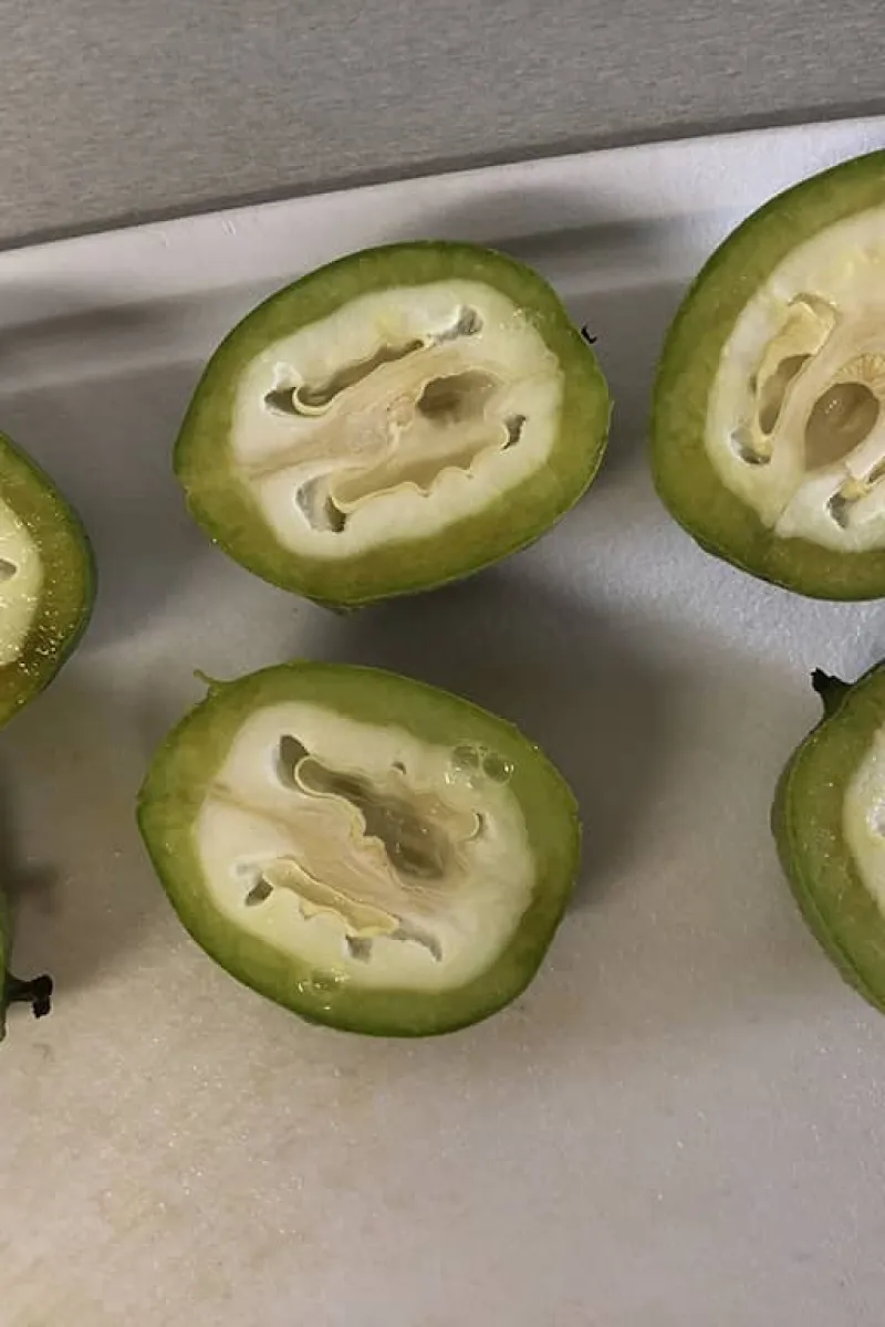 Jonge walnoot opengesneden