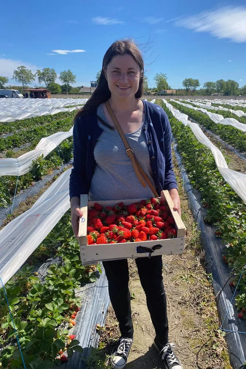 Zelfgeplukte aardbeien