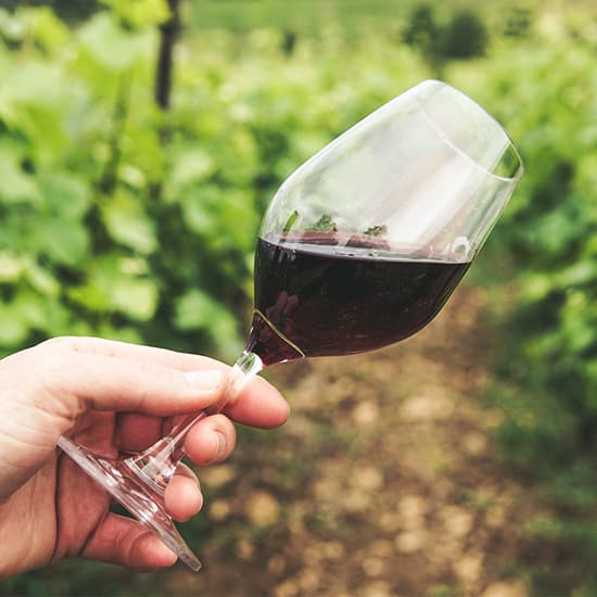 Ben jij een wijnkenner of vooral een liefhebber?