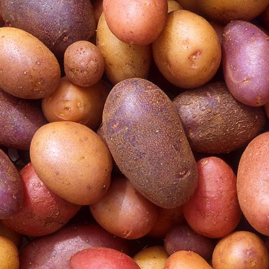 Hoe lang moet je aardappelen koken?