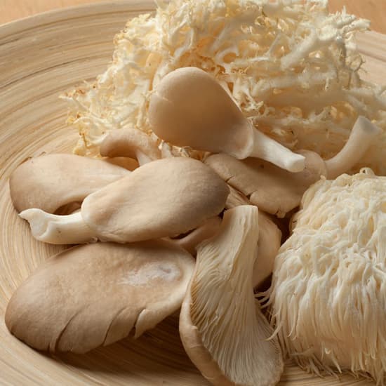 Lion’s Mane: koken met bijzondere paddenstoelen