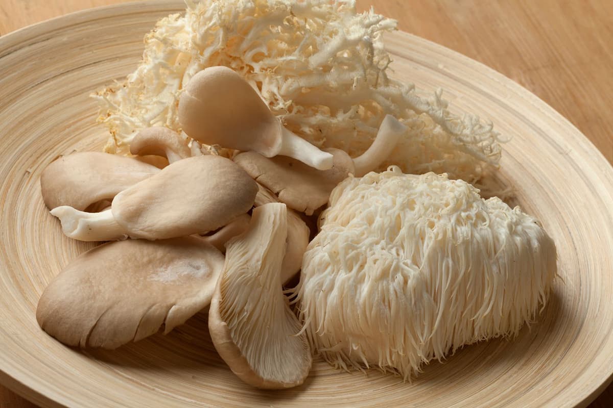 Lion’s Mane: koken met bijzondere paddenstoelen