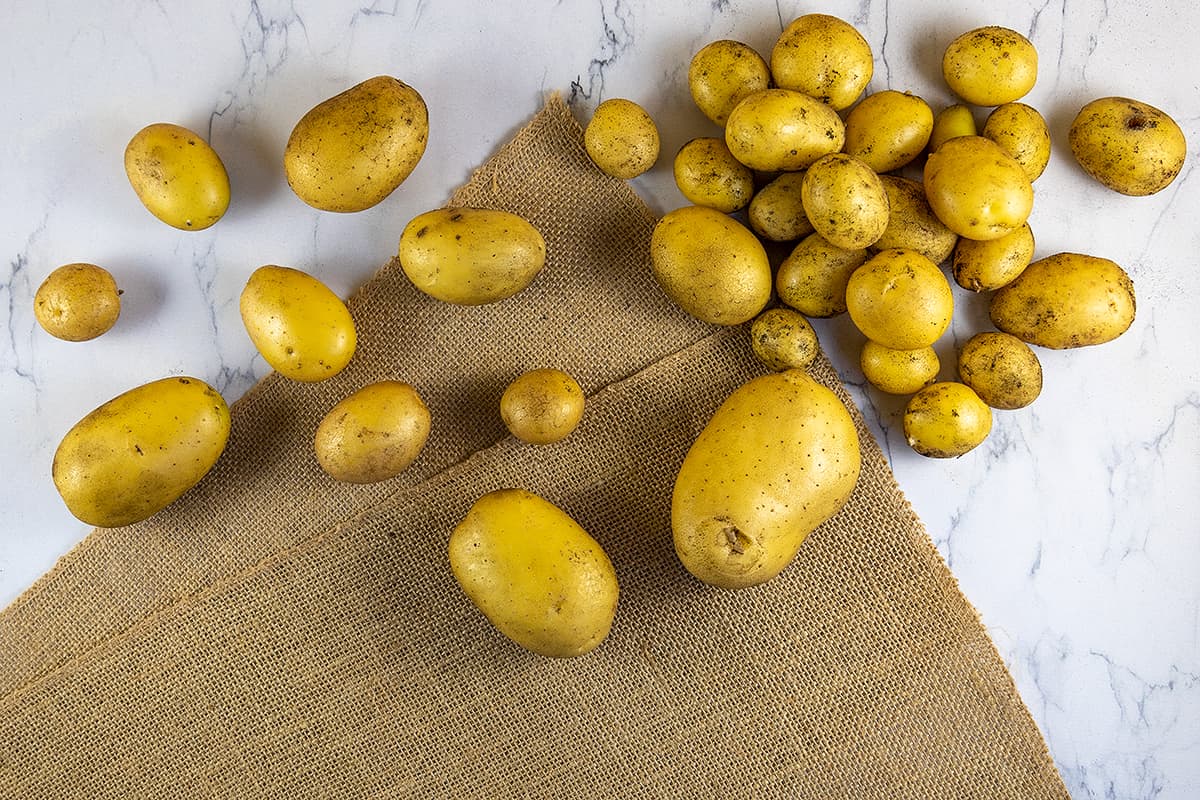 Aardappel recepten