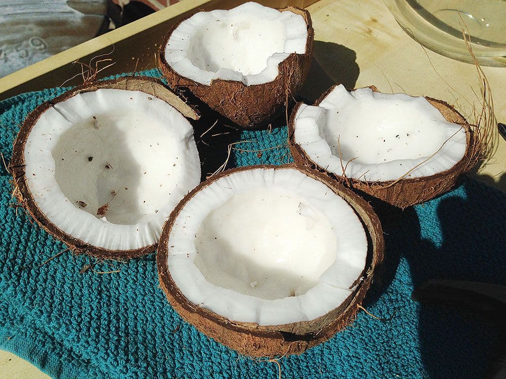 Verse kokosnoten