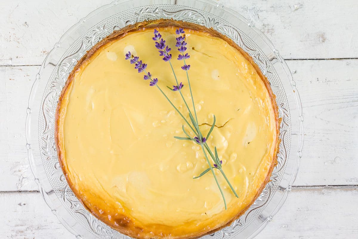 Lavendel honing cheesecake